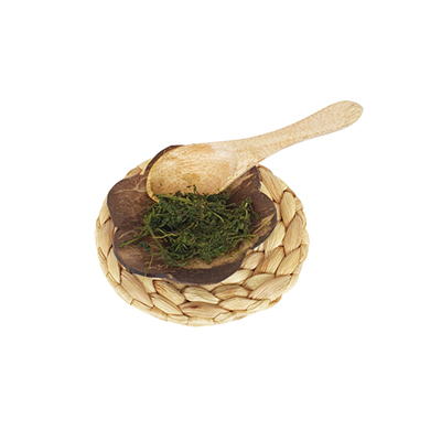 Ramuan tradisional Wasir dari Terung Susu