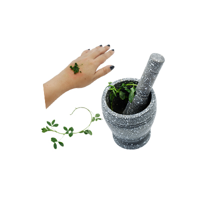 Ramuan tradisional Mengatasi gigitan serangga dari Alfalfa