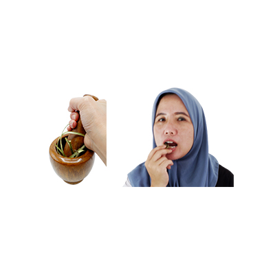 Ramuan tradisional Sakit gigi dari Bayur