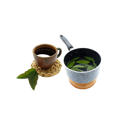 Ramuan tradisional Demam dari Sungkai