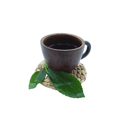 Ramuan tradisional Demam dari Tapak Liman Putih