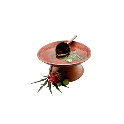 Ramuan tradisional Demam dari Daun Betadine