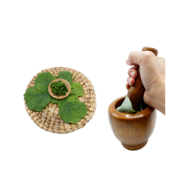 Ramuan tradisional Wasir dari Jarak Bali