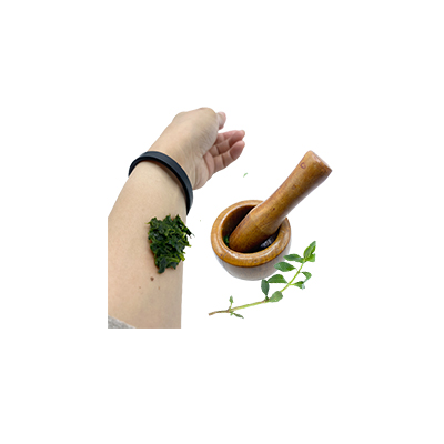 Ramuan tradisional Memar dari Rumput Buaya