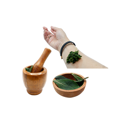 Ramuan tradisional Luka dan memar dari Bugle