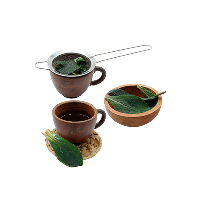 Ramuan tradisional Batuk dari Bugle