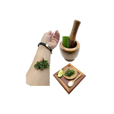 Ramuan tradisional Bisul dari Pandan Duri