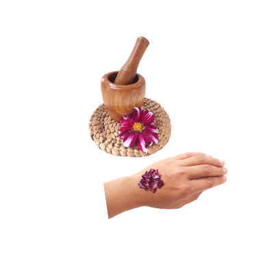 Ramuan tradisional Mengurangi peradangan akibat sengatan serangga dari Bunga Dahlia
