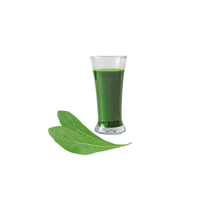 Ramuan tradisional Diabetes dari Kalabasa/Maja