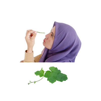 Ramuan tradisional Sakit mata dari Rosberi Hutan