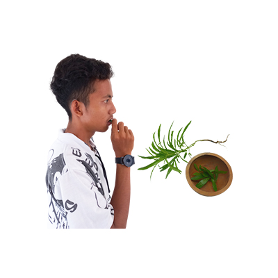 Ramuan tradisional Mengatasi bau mulut dari Zodia