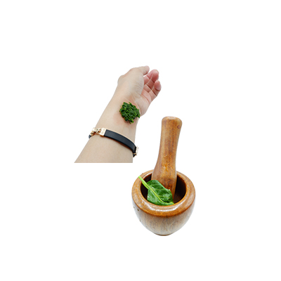 Ramuan tradisional Bisul dari Bunga Terompet Putih
