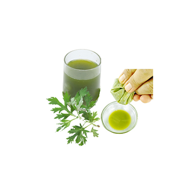 Ramuan tradisional Batuk dari Silvery Wormwood
