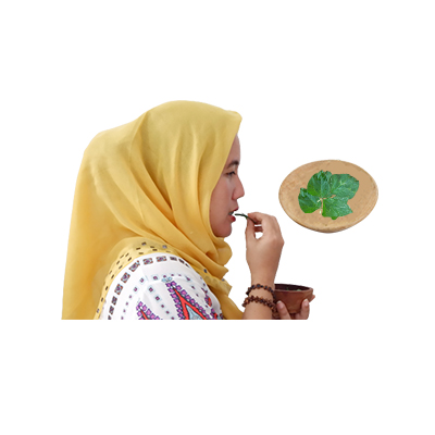 Ramuan tradisional Mengobati penyakit gigi dari Kacang Tunggak