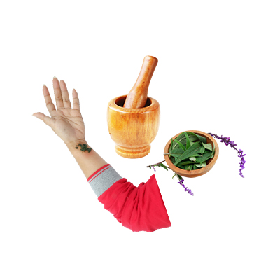 Ramuan tradisional Luka dari Salvia Ungu