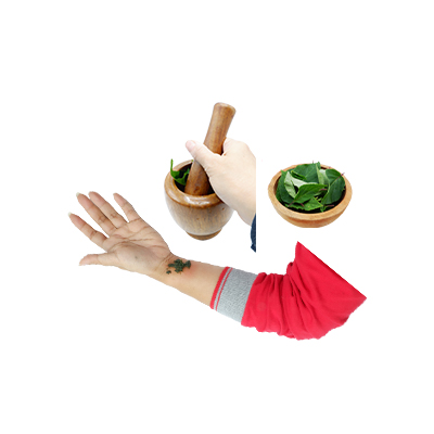 Ramuan tradisional Luka dari Scarlet Sage