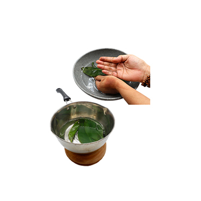 Ramuan tradisional Rematik dari Akar Ular