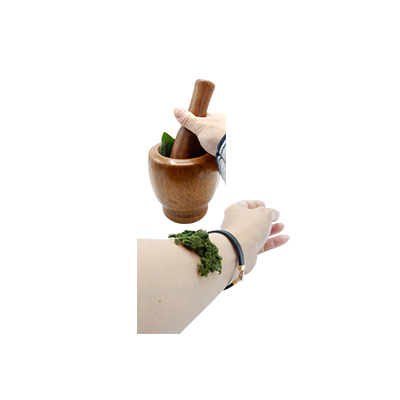 Ramuan tradisional Bengkak dari Terung Dayak