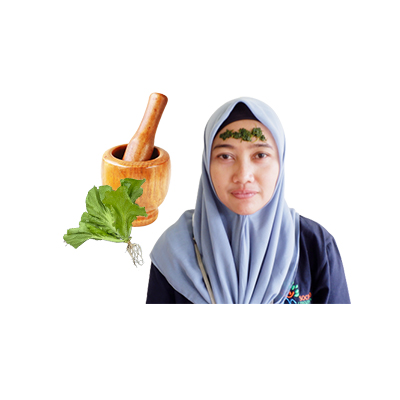 Ramuan tradisional Meredakan sakit kepala dari Sawi Pahit