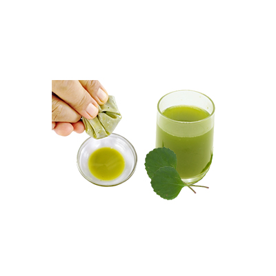Ramuan tradisional Batuk dari Swedish Ivy