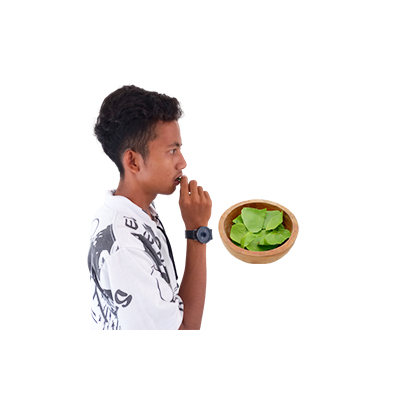 Ramuan tradisional Mengobati mulut melepuh dari Suplir