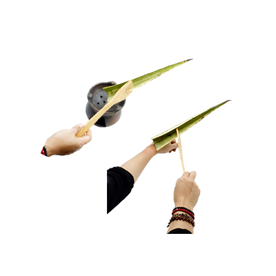Ramuan tradisional Bisul dari Agave Daun Lebar