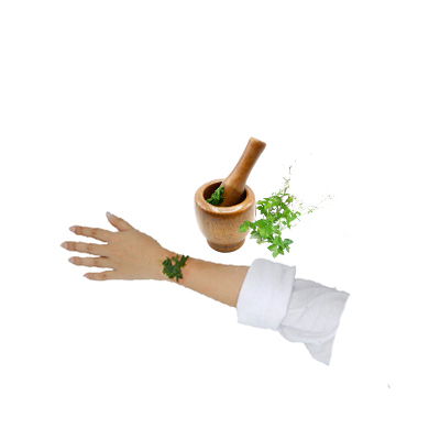 Ramuan tradisional Gatal dari Mitsuba