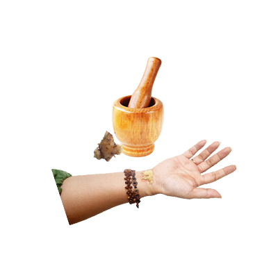 Ramuan tradisional Bisul dari Arisaema amurense